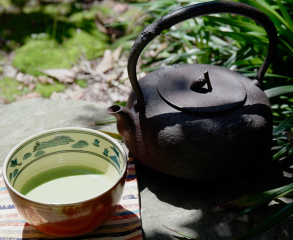 Matcha workshop